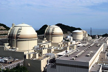 Japan restarts another nuclear reactor