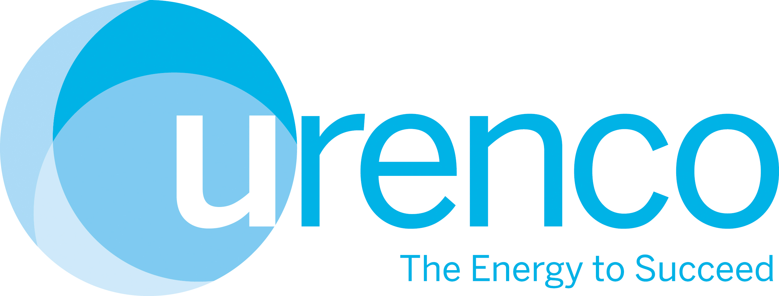 Silver Sponsor