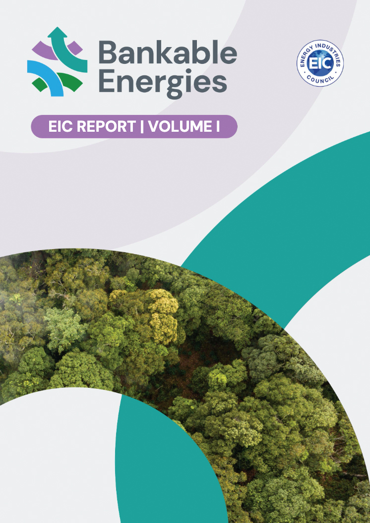 Bankable Energies Report