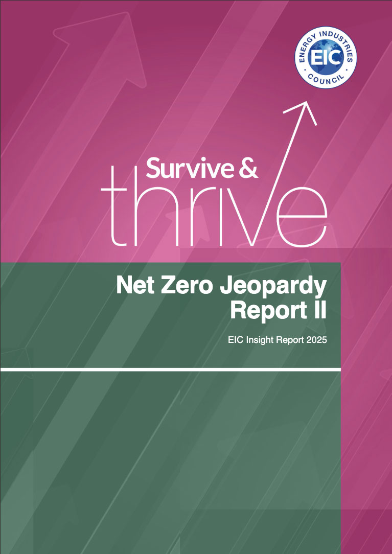  Net Zero Jeopardy Report Volume II 2025
